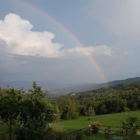 Farm stay Agriturismo Il Piano Pratovecchio
