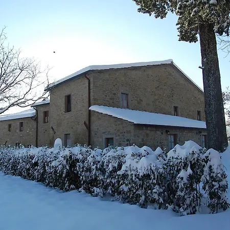Farm stay Agriturismo Il Piano Pratovecchio