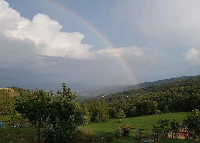 Farm stay Agriturismo Il Piano Pratovecchio