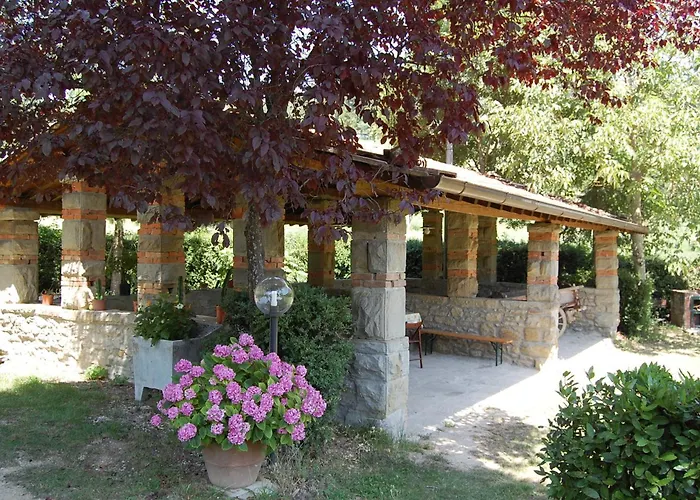 Farm stay Agriturismo Il Piano Pratovecchio