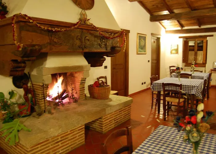 Farm stay Agriturismo Il Piano Pratovecchio